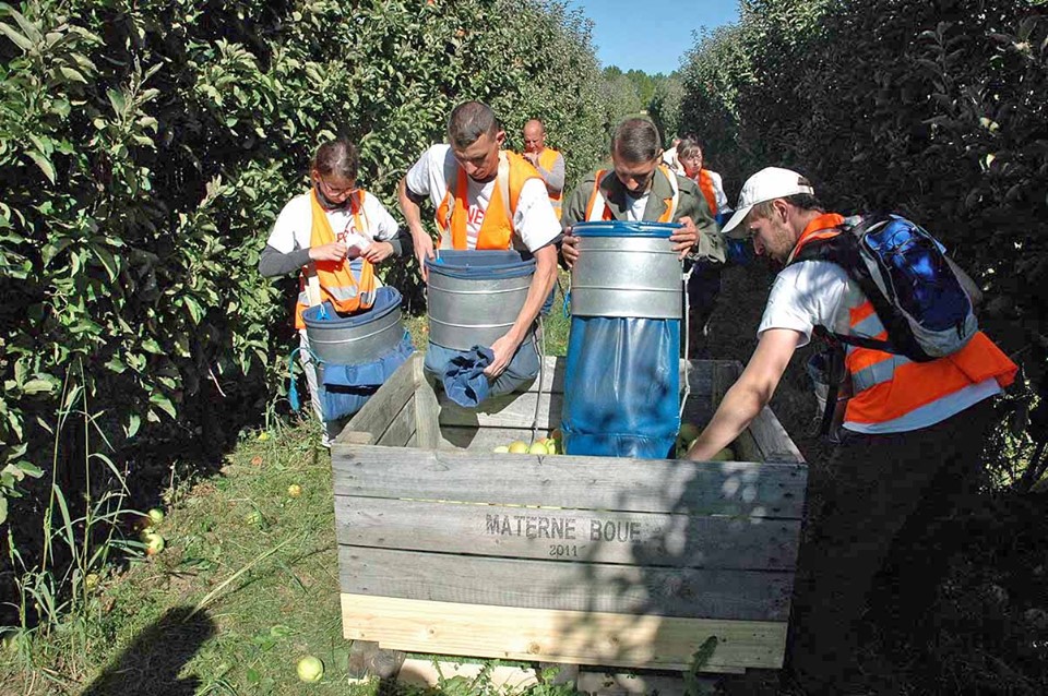  64 bénéficiaires du RSA sont embauchés aux Vergers Pommes de Picardie pour l’usine Materne de Boué