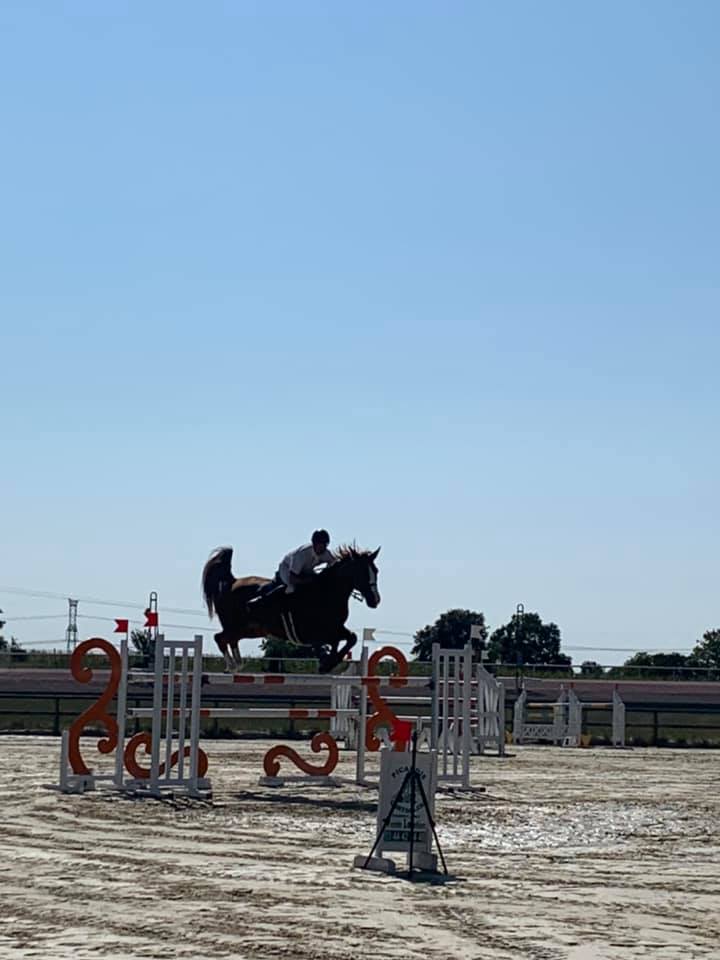 🐴 Jumping National à l’Hippodrome de La Capelle en Thiérache !
