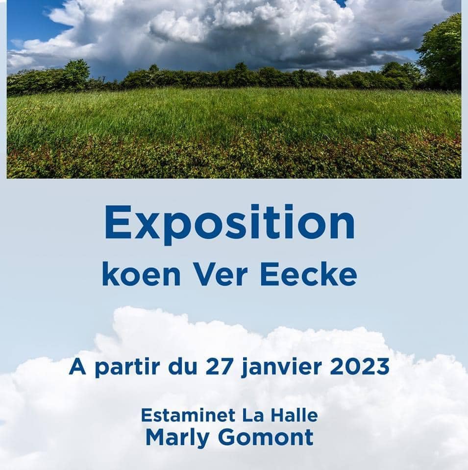 Exposition de Koen Ver Eecke à l’ Estaminet