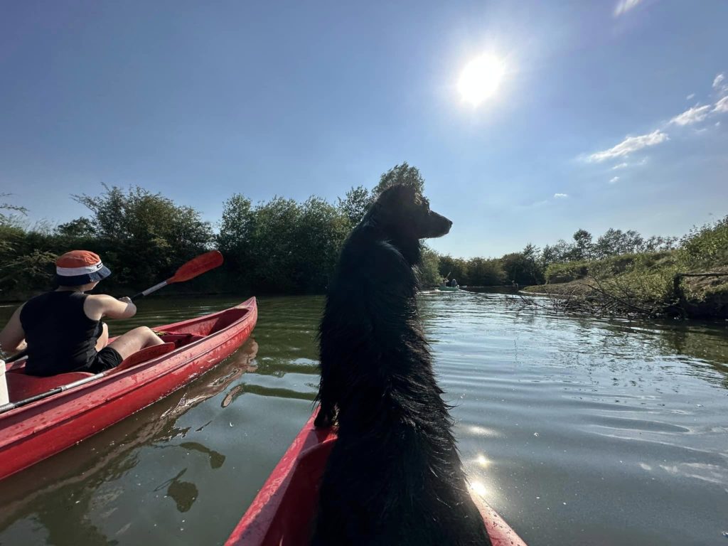 Canoe-Kayak Evasion à Autreppes﻿ 