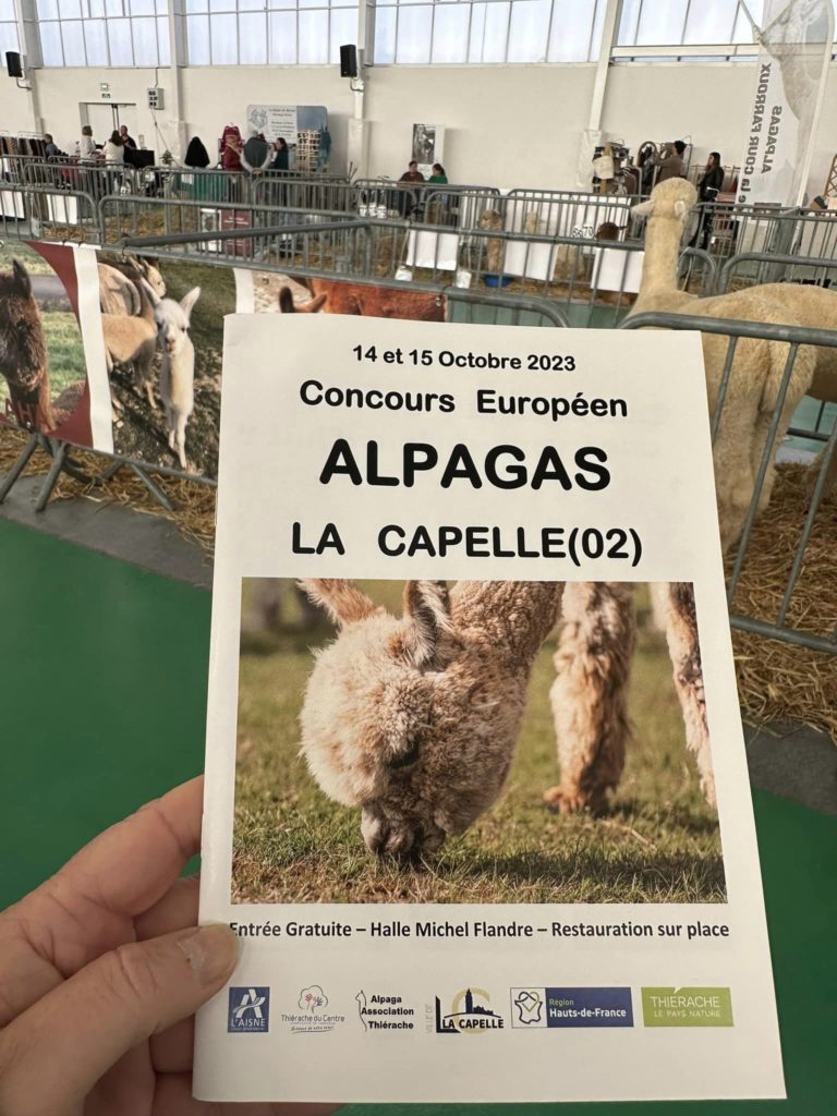 Alpagas / Thiérache / HDF